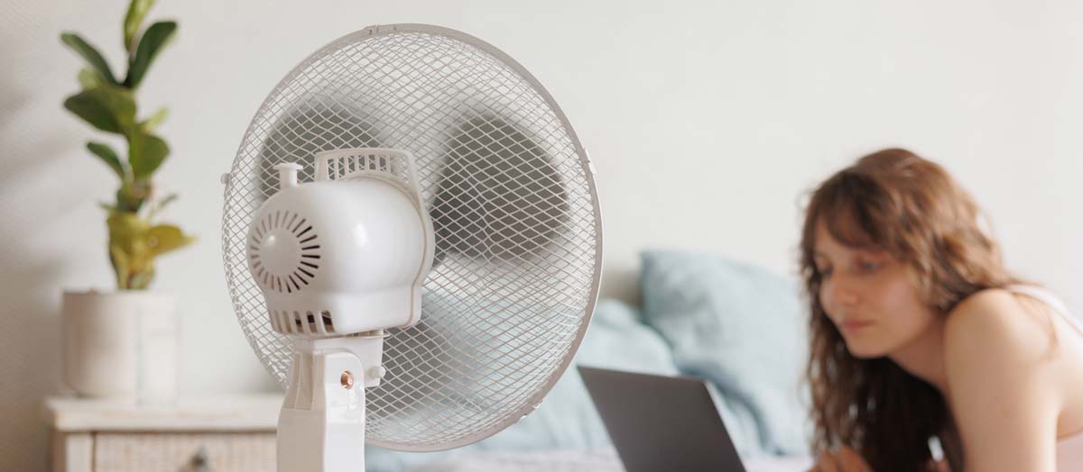 clanek-vizual-2-web.jpg